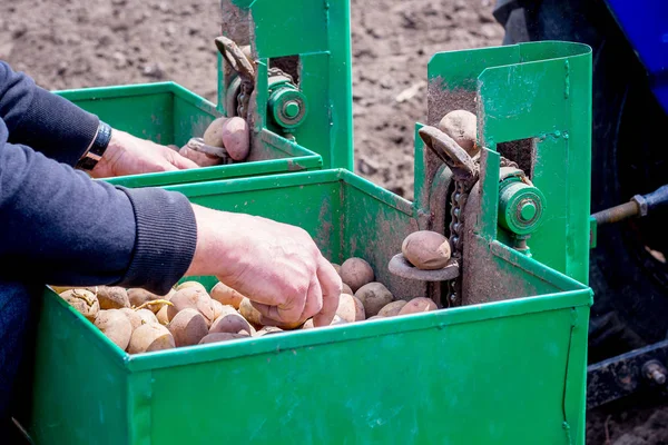 Процесс Посадки Картофеля Механизированным Способом Помощью Трактора — стоковое фото