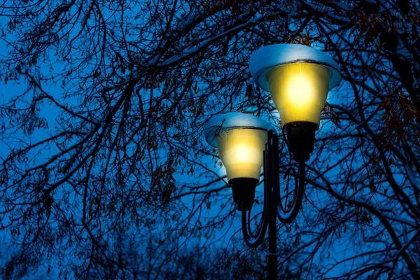 Lyktor Skina Natten Stadsparken Vintern — Stockfoto