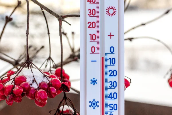 Termômetro Fundo Guelder Aumentou Invernomostra Uma Temperatura Abaixo Zero — Fotografia de Stock