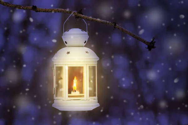 Lantern Candle Winter Forest Tree Branch Night Snowfall — Stock Photo, Image