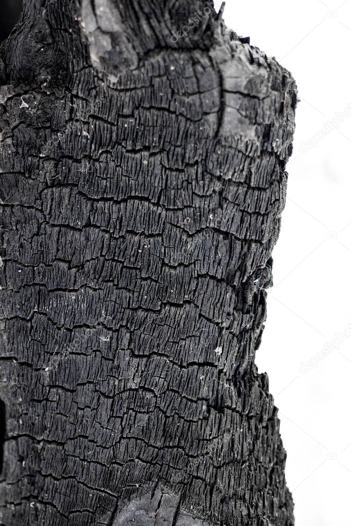 The texture of the burnt tree. A tree burned during a fire
