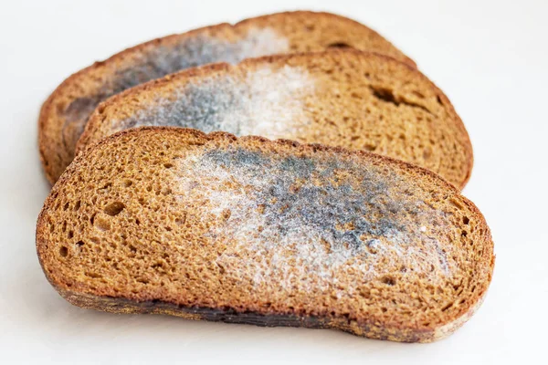 Mildew on bread. Spoiled foods that are harmful to consumption