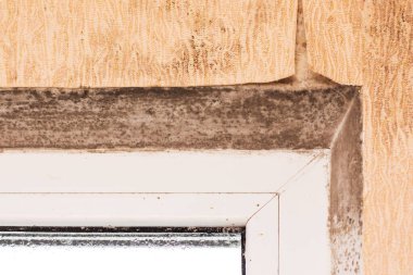 Duvar kağıtlarında ve pencerenin yanında küf var.