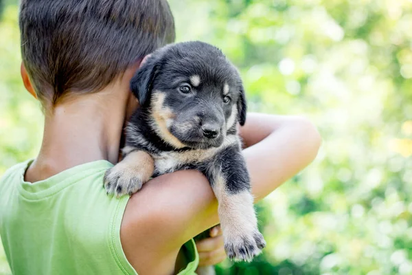 Chłopiec Trzyma Małego Szczeniaka Człowiek Pies Przyjaciółmi — Zdjęcie stockowe