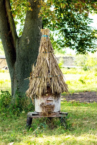 Ancient Beehive Garden Tree Apiary Royalty Free Stock Images