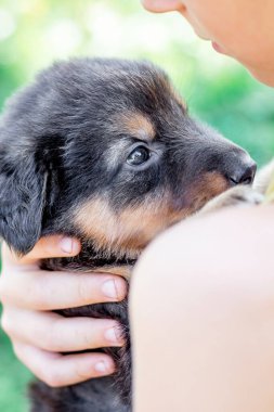 Çocuk kendine küçük siyah bir köpek yavrusu bastırdı. Çocuklar ve Hayvanlar