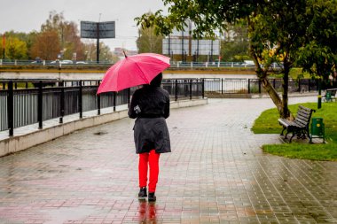 Bulanık bir arkaplanda kahverengi bir köpeğin yakın çekimi