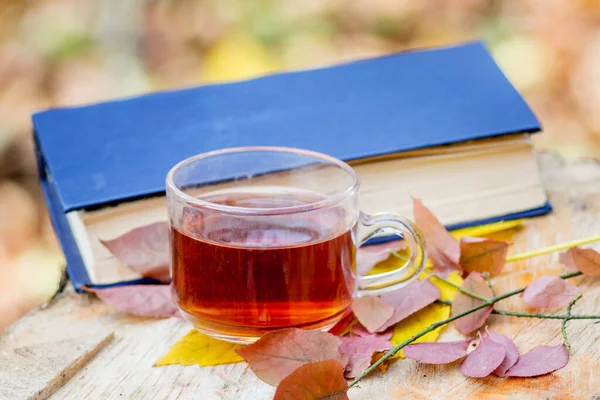 A mug of tea near the book and autumn leaves in the woods. Reading books in the nature