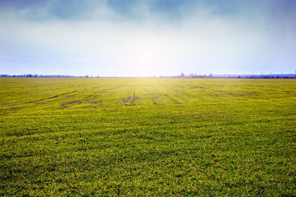 Campo Igual Con Hierba Verde Cielo Azul Nublado Clima Soleado — Foto de Stock