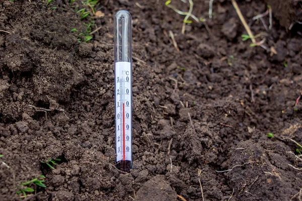 Измерение Помощью Температурного Термометра Почвы Весной Определения Готовности Почвы Посеву — стоковое фото