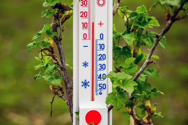 Medición Con Termómetro Temperatura Del Aire Calle Primavera Temperatura Del —  Fotos de Stock