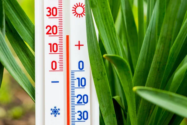 Measurement of air temperature in the street in spring or summer. The thermometer shows a temperature of plus 20 degrees