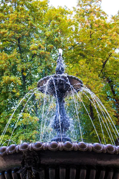 Brunnen Stadtpark Wasserdüsen Brunnen — Stockfoto