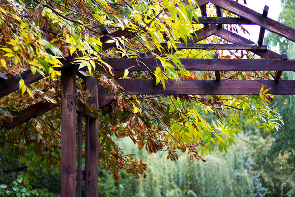 A fragment of a wooden construction in the city park in the fall during the rain