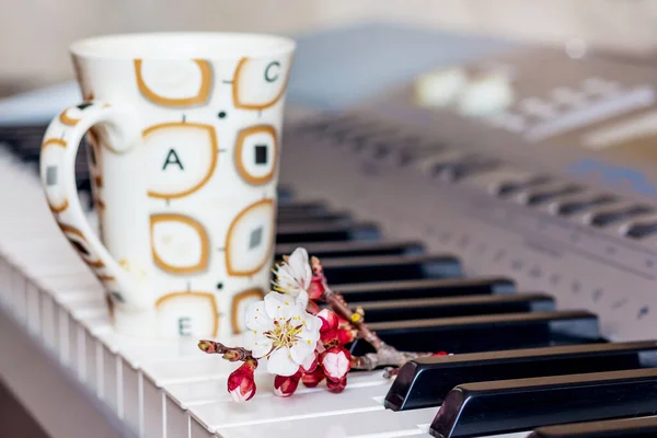 Branch Apricot Flowers Cup Hot Coffee Piano Keys — Stock Photo, Image