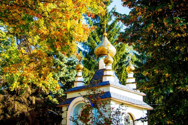 Domes Van Orthodoxe Kerk Achtergrond Van Pittoreske Bomen Herfst — Stockfoto