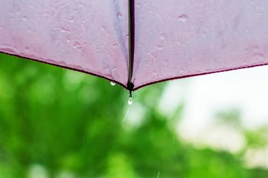 Yağmur sırasında şemsiyeden damlayan yağmur damlaları