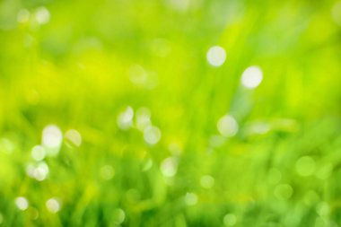 Beyaz bokeh ile bulanık yeşil bahar ve yaz arkaplanı