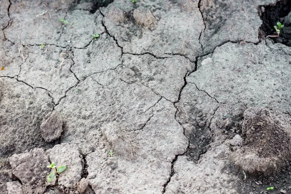 Texture Dry Soil Cracks Background Design — Stock Photo, Image