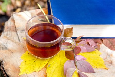 Bir fincan çay ve sarı bir akçaağaç yaprağı sonbahar ormanında bir kitabın yanında bir kütük üzerinde