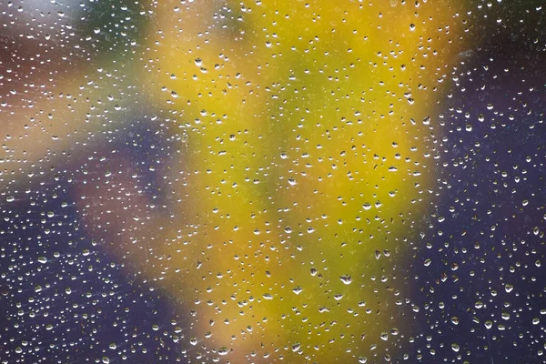 雨点落在窗玻璃上 从窗玻璃上可以看到它模糊了黄色的树 — 图库照片