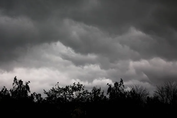 Silhouettes Arbres Sur Fond Ciel Orageux Sombre Avec Des Nuages — Photo