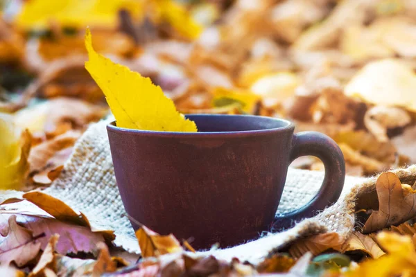 Una Tazza Caffè Cui Cadde Foglia Gialla Autunno Nel Bosco — Foto Stock