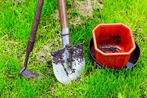 Agricultural tools (shovel, hack, bucket) on the background green grass after rain. Work on the bed