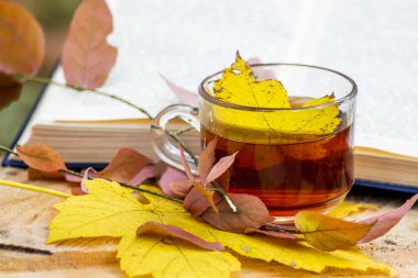Bir fincan çay, sonbahar ormanında kitabın yanına sarı bir akçaağaç yaprağı düştü.