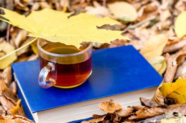 Bir fincan çay, sarı bir akçaağaç yaprağıyla kaplı, bir ormanda, kuru yaprakların arasında bir kitap üzerinde.