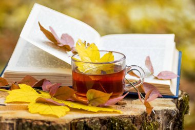 Bir fincan çay ve sonbahar yaprakları sonbahar ormanında açık kitabın yanında.
