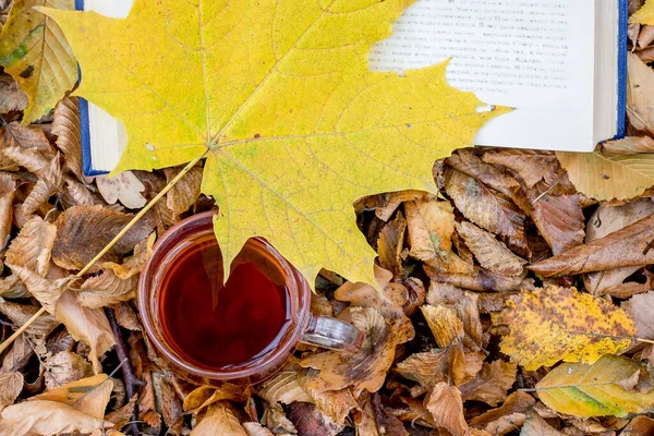 Cup Tea Yellow Maple Leaf Book Autumn Dry Leaves Woods — Stock Photo, Image