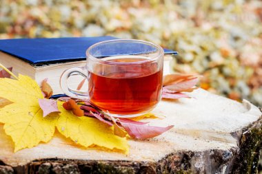 Bir kupa çay ve sonbahar yaprakları bir kütük üzerinde ormanda bir kitabın yanında.