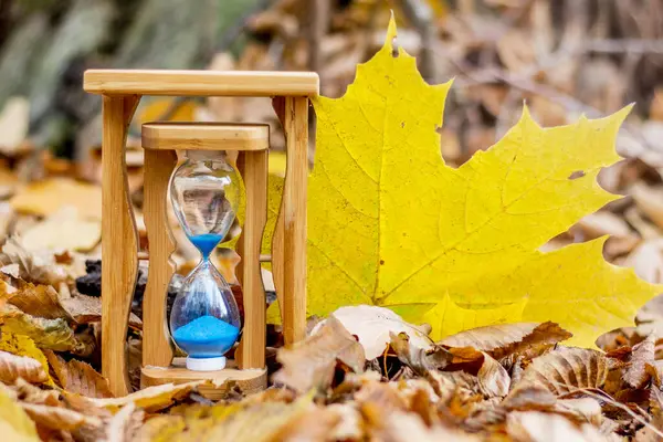 Sand clock and a large yellow maple leaf in the autumn forest