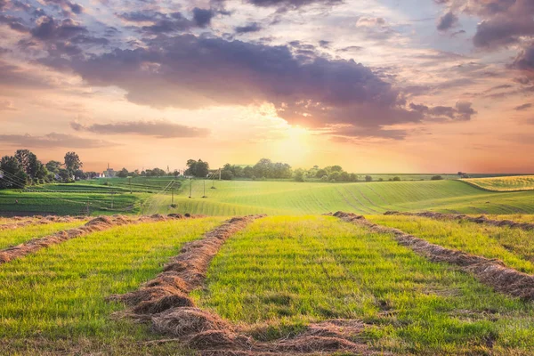 Paisaje Escénico Campo Con Césped Biselado Atardecer Nubes Durante Atardecer — Foto de Stock