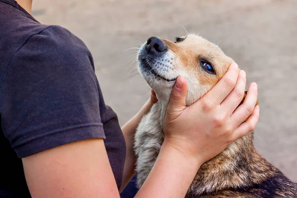 Het Meisje Knuffelt Een Hond Die Haar Aankijkt Met Een — Stockfoto