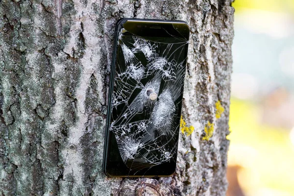 Broken telephone nailed to a tree. Phone repair