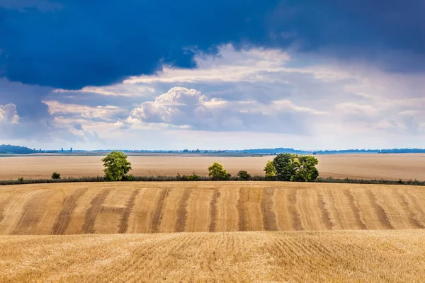 Paesaggio Con Campo Grano Cielo Buio Tempestoso — Foto Stock