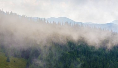 Dağların yüzeyinde kalın bulutlar. Yazın dağlarda gök gürültülü fırtına