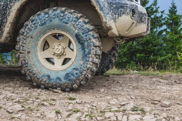 Jeep Kerekek Háttérben Fák Tetején Egy Hegy Utazás Dzsippel Hegyeken — Stock Fotó