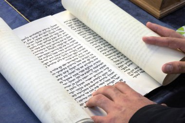 Yahudi Haham Megillah kaydırma (Esther kitap) Purim Yahudi tatil okur..