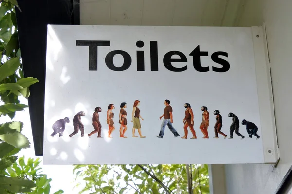 Proces Van Evolutie Toiletten Teken Evolutie Verandering Erfelijke Eigenschappen Van — Stockfoto