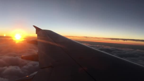 Herrliche Sonnenstrahlen Über Einem Flügel Eines Verkehrsflugzeugs Der Abenddämmerung Hintergrundkonzept — Stockvideo