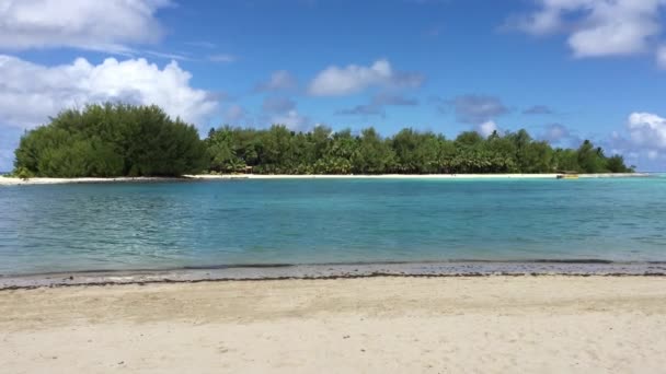 Isla Koromiri Laguna Muri Rarotonga Islas Cook — Vídeos de Stock