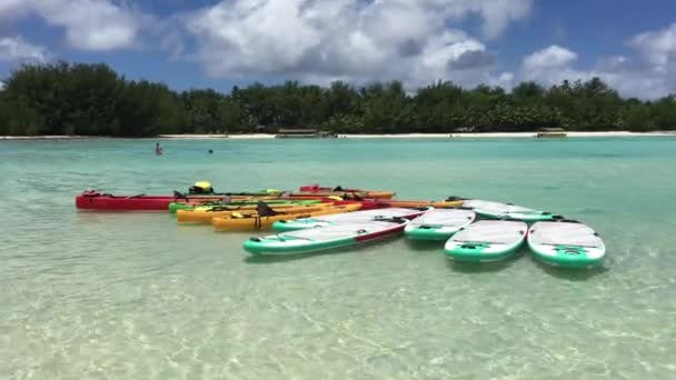 Landscape View Colorful Kayaks Stand Paddle Boarding Muri Lagoon Rarotonga — Stock Video