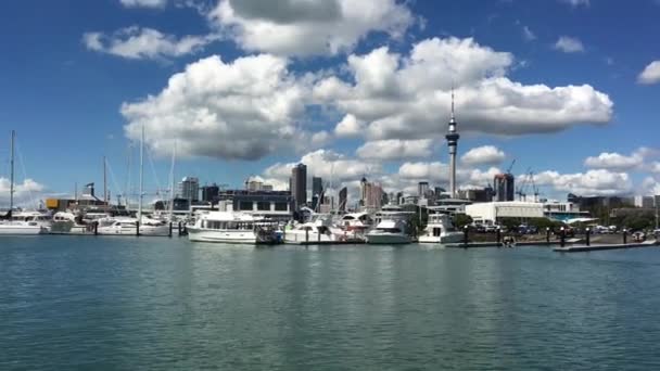 Auckland City Skyline New Zealand Von Westhaven Marina — Stockvideo
