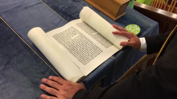 Rabbino Ebreo Legge Pergamena Megillah Libro Ester — Video Stock