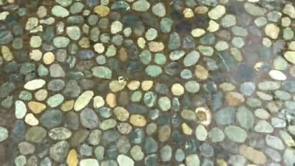 Struttura Dell Acqua Piscina Con Rocce Ciottoli — Video Stock