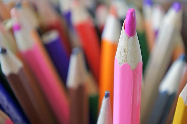 Ołówek Różowy Kolor Wyróżniające Się Tłumu Koncepcja Społeczności Lgbt Gay — Zdjęcie stockowe