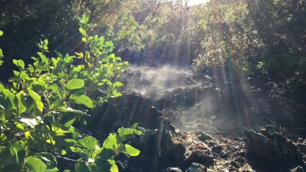 Zeitlupe Vulkanischen Dampfes Rangitoto Island Der Nähe Von Auckland Neuseeland — Stockvideo